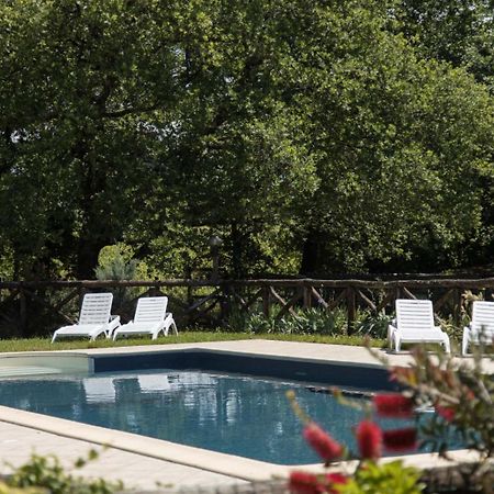 Agriturismo Le Baccane Vinci Exterior foto